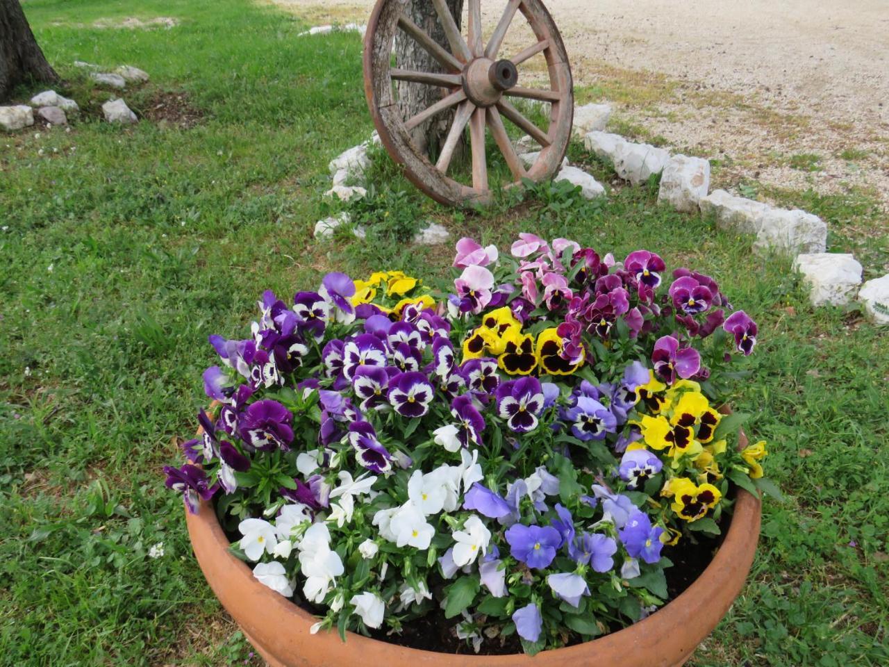 Agriturismo San Martino Фолиньо Экстерьер фото