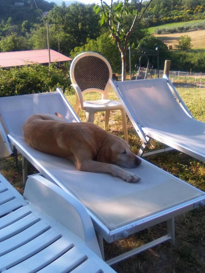 Agriturismo San Martino Фолиньо Экстерьер фото